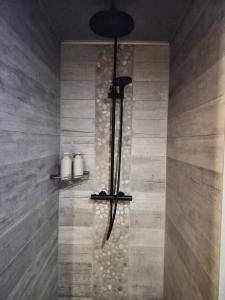 a shower in a bathroom with a stone wall at Cocoon Hébergement Wellness in Chimay +32 photos