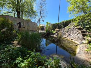 a pond in a garden with a stone wall at Cocoon Hébergement Wellness in Chimay