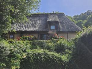 a house with a thatched roof with flowers in front at L'Etable d'Emile in Marais-Vernier