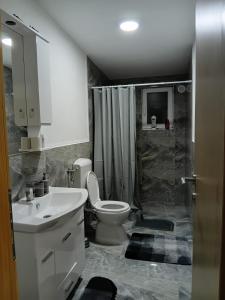 a bathroom with a sink and a toilet and a shower at Villa EMELA in Jajce +49 photos