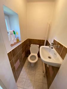 a bathroom with a toilet and a sink at Retro chalupa Sobkovice in Sobkovice +21 photos