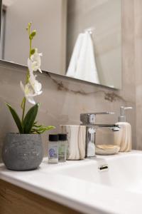 a bathroom counter with a sink with a plant on it at Elysian Studios in Mavrovouni