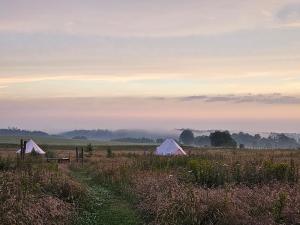 two tents in the middle of a field at Benneweis in Brædstrup