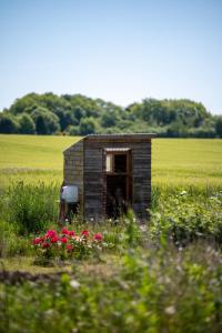 a small shack in the middle of a field with flowers at Benneweis in Brædstrup +8 photos