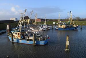 three boats are docked in the water at Heimathafen über dem Hafen - Pub in Pellworm