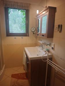 a bathroom with a sink and a window at Wiesiówka nad Wkrą in Goławice +11 photos