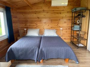 two beds in a room with a wooden wall at Nameliai TRES in Bernotiškė