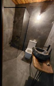 a bathroom with a toilet and a glass shower at ILIS House Matka Canyon - 2 in Skopje