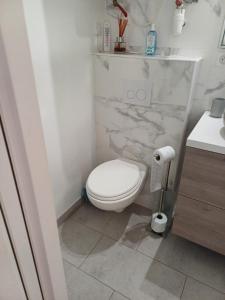 a bathroom with a white toilet and a sink at JOLI 2 PIECES SERRIERA in Serriera