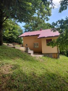 a house with a red roof on a hill at Vila Lipov Hlad Rajac in Polom