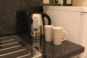 Sadržaji za pripremu kafe i čaja u objektu The Eistedfod Penthouse - Berwyn House