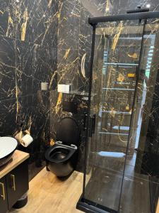 a bathroom with a toilet and a glass shower at Kontrabanda - Bar & Noclegi in Ustrzyki Górne