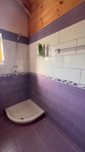 a bathroom with a purple and white tiled wall at Mountain Attic Near Përmet in Biovizhdë +9 photos