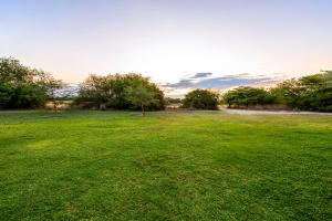 a large field of green grass with trees in the background at Hakusembe River Campsite in Rundu +3 photos