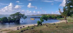 a body of water with a yellow boat in it at La Terrace Brocus in Bouchon