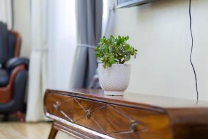 a potted plant sitting on top of a wooden table at SereneKey Stays in Kigo +1 photo