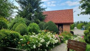 a garden with a building and flowers and a bench at Agroturystyka u Bogusi in Sarbinowo +10 photos