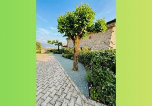 Gallery image of La Valle Verde in Miane