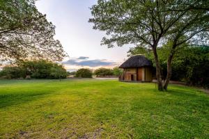 a small hut in a field with a tree at Hakusembe River Campsite in Rundu