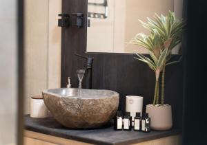 a bathroom with a bowl sink and a plant at Capstay Dinant in Dinant +75 photos