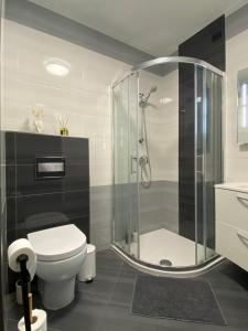 a bathroom with a toilet and a glass shower at Apartma Ložice in Deskle