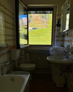 a bathroom with a sink and a toilet and a window at Passo Carezza Club Apartment in Carezza al Lago +18 photos