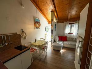 a kitchen and living room with a couch and a table at ILOVIK FLOWER in Ilovik +42 photos
