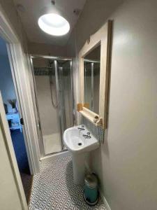 a bathroom with a sink and a shower at Murlough View in Dundrum