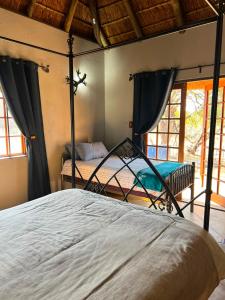 a bedroom with a bed in a room with windows at Kudu Plaas - Wildlife on your doorstep in Beestekraal +63 photos