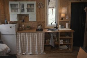a kitchen with a counter with a sink and a refrigerator at Agroturystyka Ranczo u Oli in Krynki Białokunki