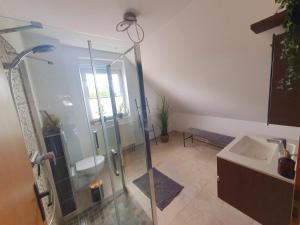 a bathroom with a shower and a sink at Ferienwohnung Pension Zwethau in Beilrode