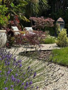 a garden with purple flowers and benches in a garden at Balancyoga Guesthouse in Ash