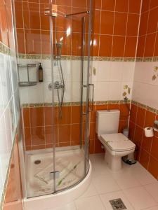 a bathroom with a shower and a toilet at Hotel Traube in Mediaş +25 photos