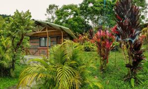 a small house in the middle of a garden at Mirador Mindo in Mindo
