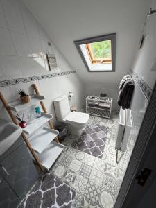 a bathroom with a white toilet and a sink at Salmon Weir Lodge in Cong +73 photos