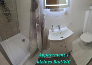 a bathroom with a sink and a shower and a toilet at SWINEMÜNDE Fewo Speckmann in Świnoujście