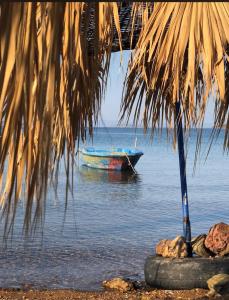 a blue boat in the water next to a palm tree at Melisa Garden in Cunda