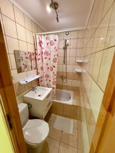 a bathroom with a toilet and a shower and a sink at Gościniec u Dzięcioła in Milonki