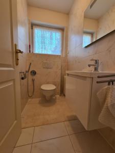 a bathroom with a toilet and a sink and a shower at Family Suites & Parking in Baden-Baden +61 photos