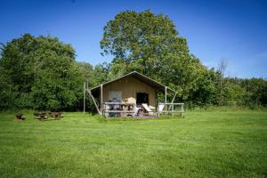 a tent in a field with a dog in the grass at The Firs Glamping in Welland +13 photos