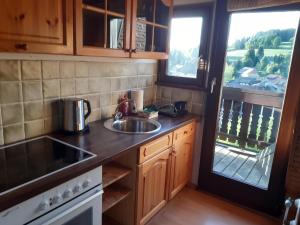 a kitchen with a sink and a stove and a window at Kopffrei auf 1000 m Wohnung 2 in Feldberg +23 photos