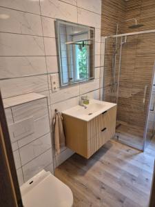a bathroom with a sink and a shower and a toilet at Budai Garden House in Hévíz