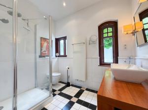 a bathroom with a sink and a shower at Villa Boddenwacht in Ahrenshoop