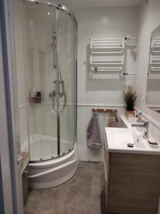 a bathroom with a shower and a sink at Apartament Przyjaźń in Tarnowskie Góry