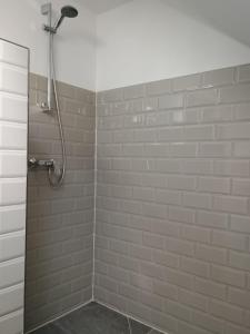 a shower in a bathroom with a brick wall at The hayloft in Grohoţele +30 photos