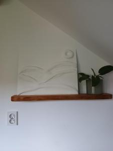 a shelf with a bed and a plant on it at The hayloft in Grohoţele