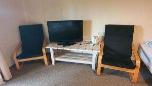 two chairs and a table with a television in a room at Ežerėlių sodyba in Ažuluokesa