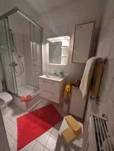 a bathroom with a shower toilet and a sink at Haus Kiel in Altenau