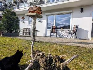 a black cat laying in the grass in front of a house at Haus Kiel in Altenau