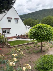 a large white house with a tree in a yard at Casa Tua An der Weinstraße in Neustadt an der Weinstraße